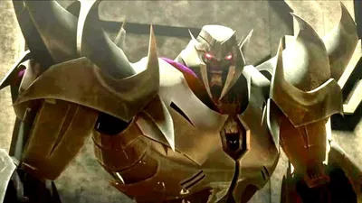 Megatron TFP