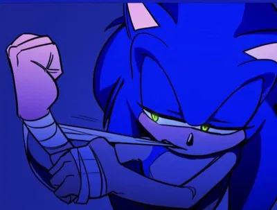 sonic the hedgehog (but evil) 
