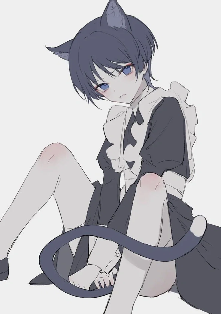 Cat boy | Scaramouche