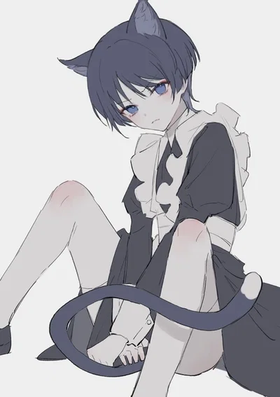 Cat boy | Scaramouche