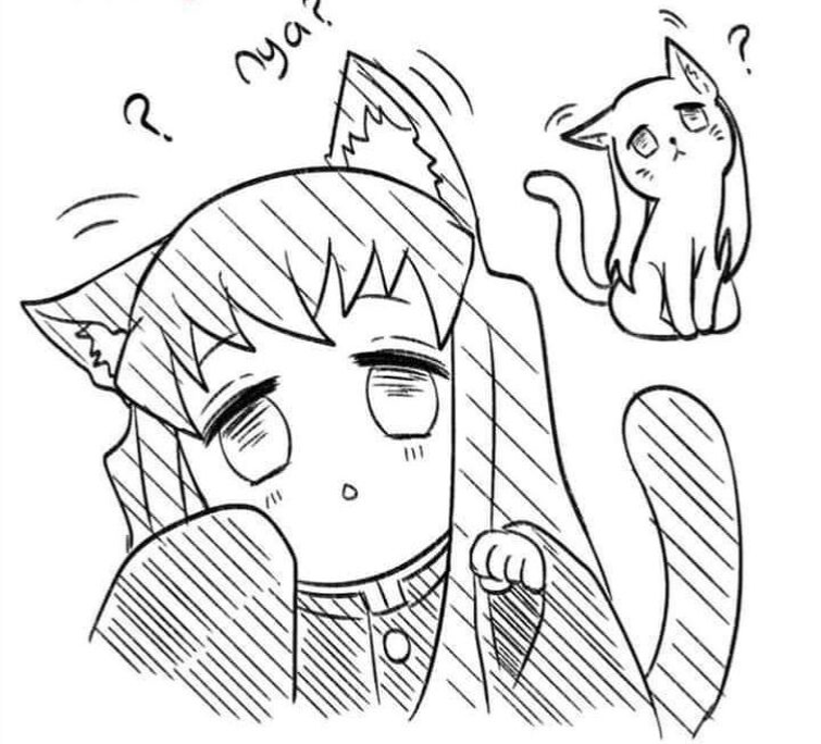 Neko Muichiro 