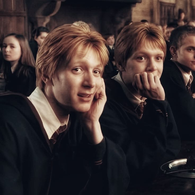 Fred and George weasley