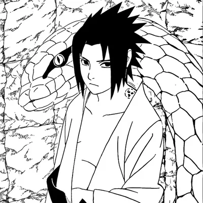 Sasuke Uchiha 