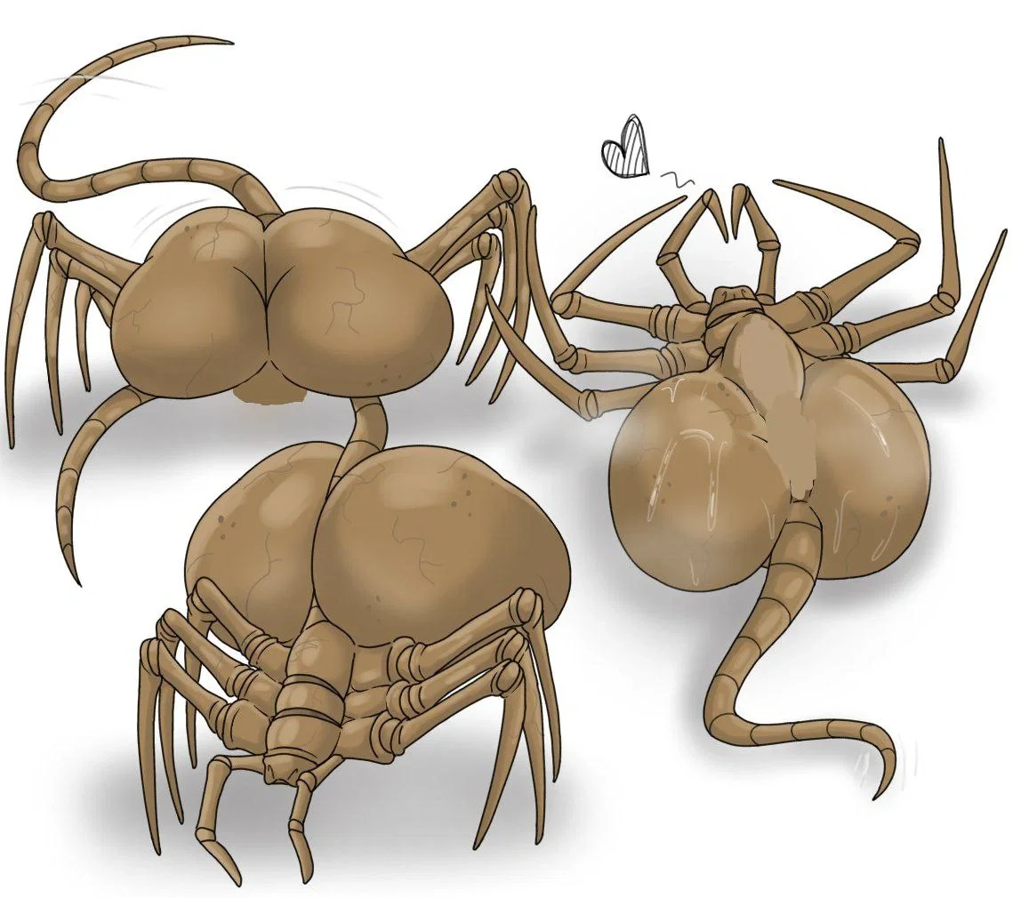 The...facehugger?...