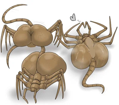 The...facehugger?...