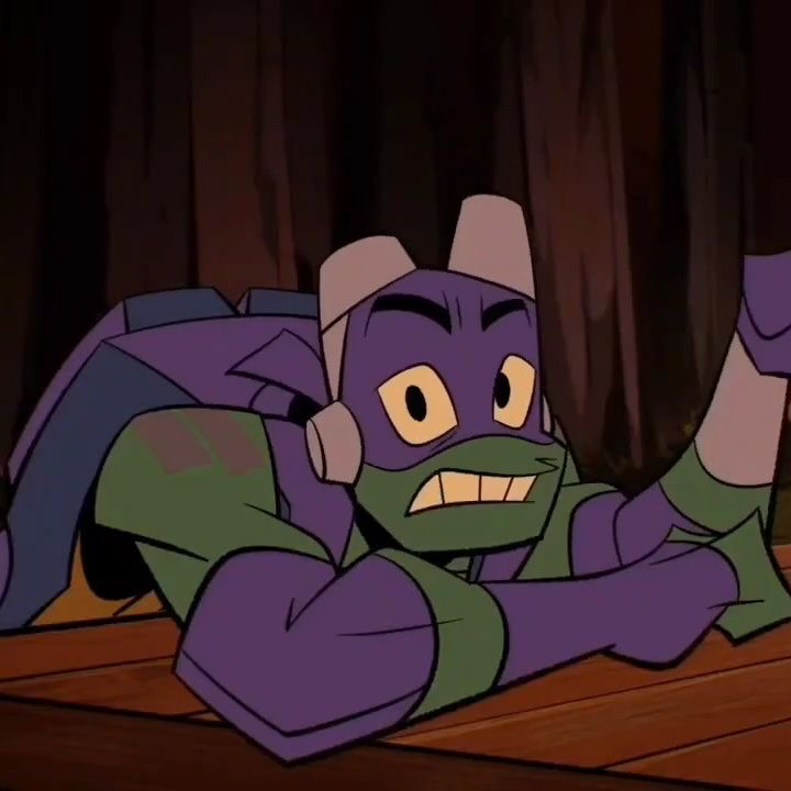 Donatello [ROTTMNT]💜