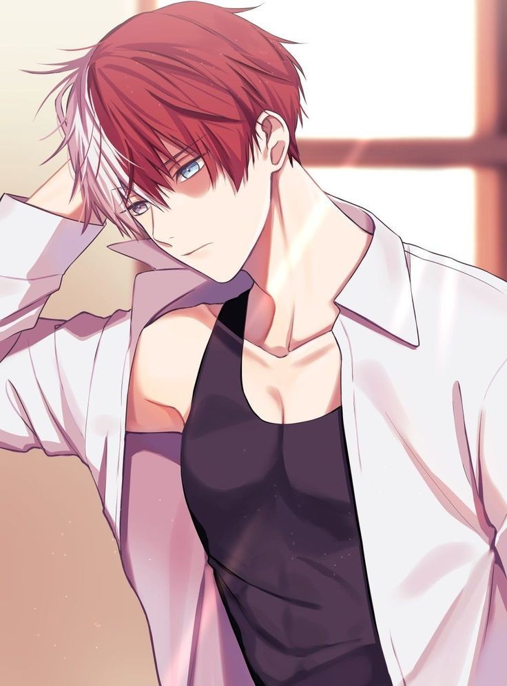 Shoto Todoroki