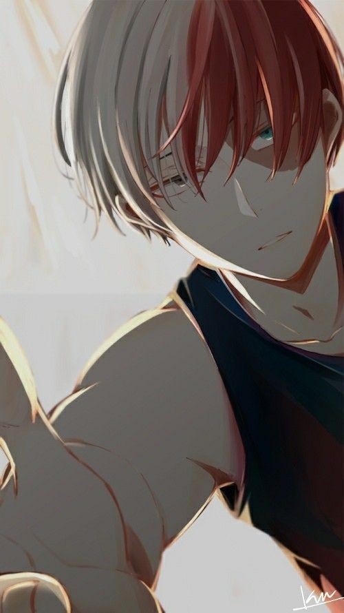 Shoto todoroki