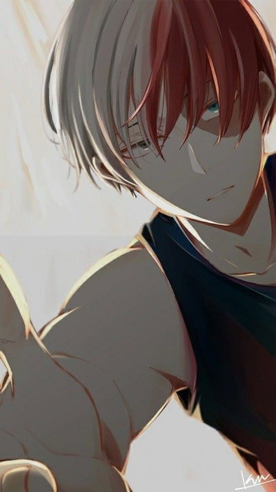 Shoto todoroki