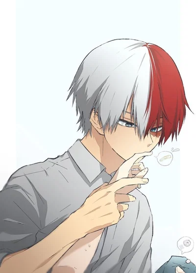 Shoto Todoroki