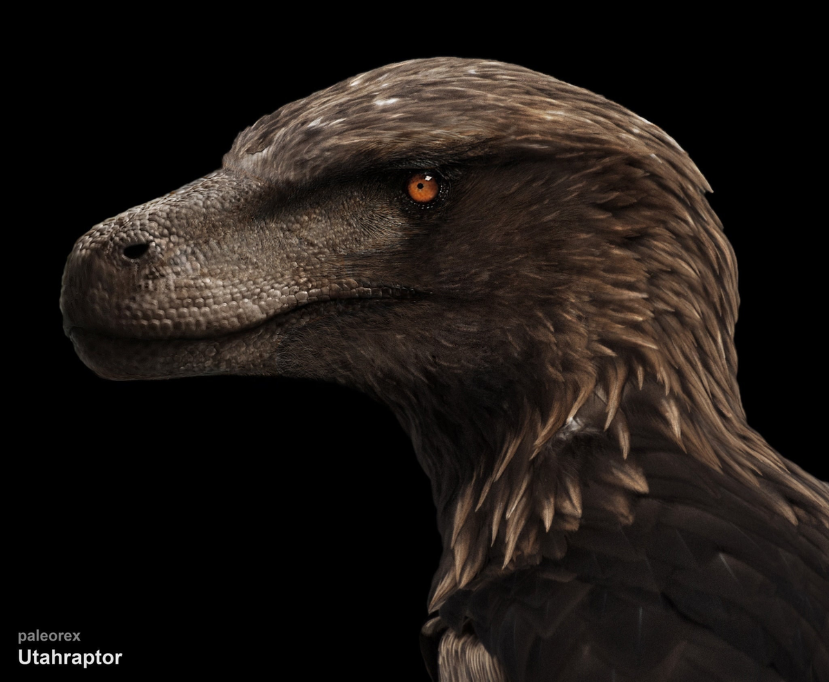 A injured utahraptor