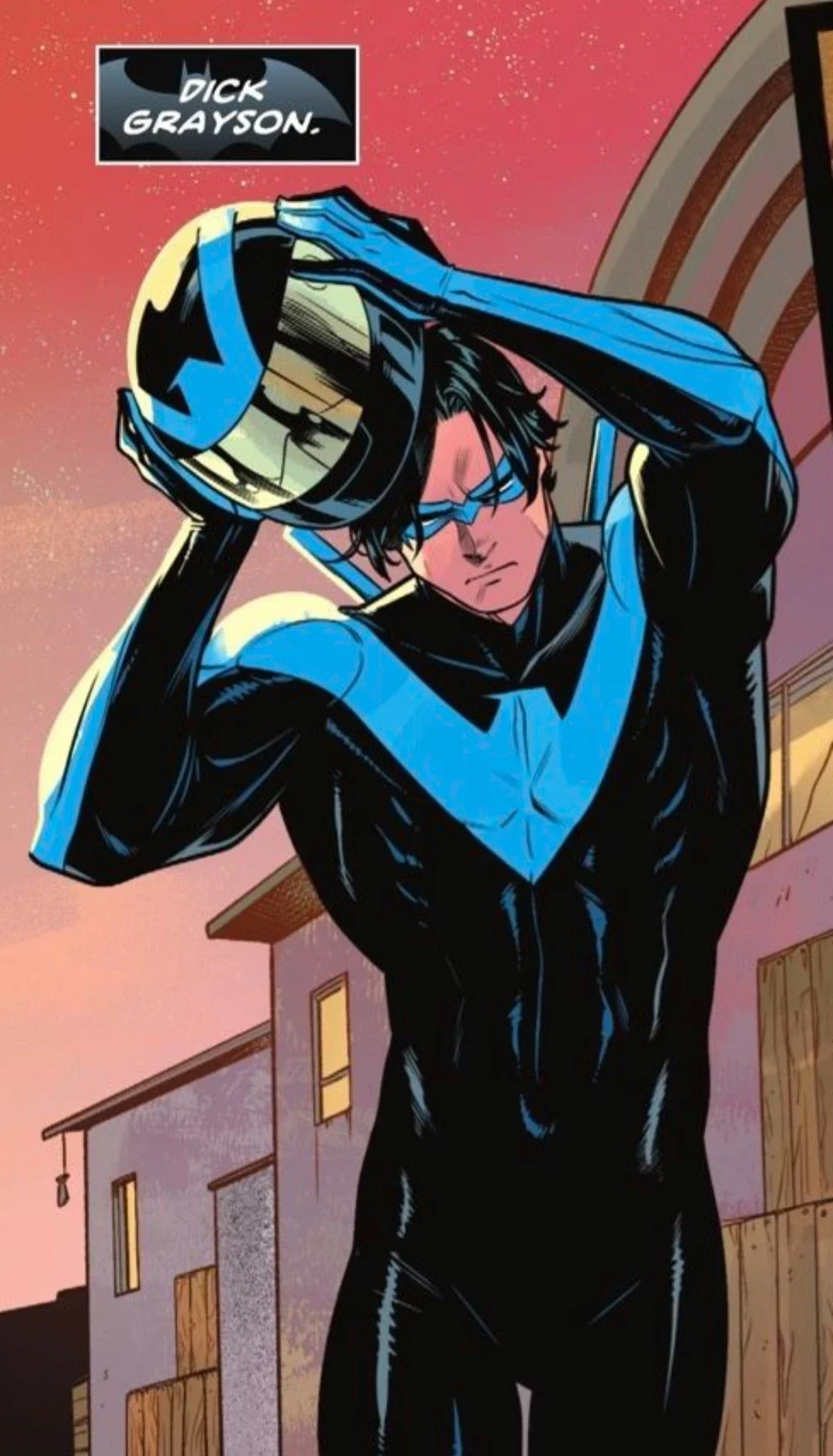 Nightwing/  grayson 