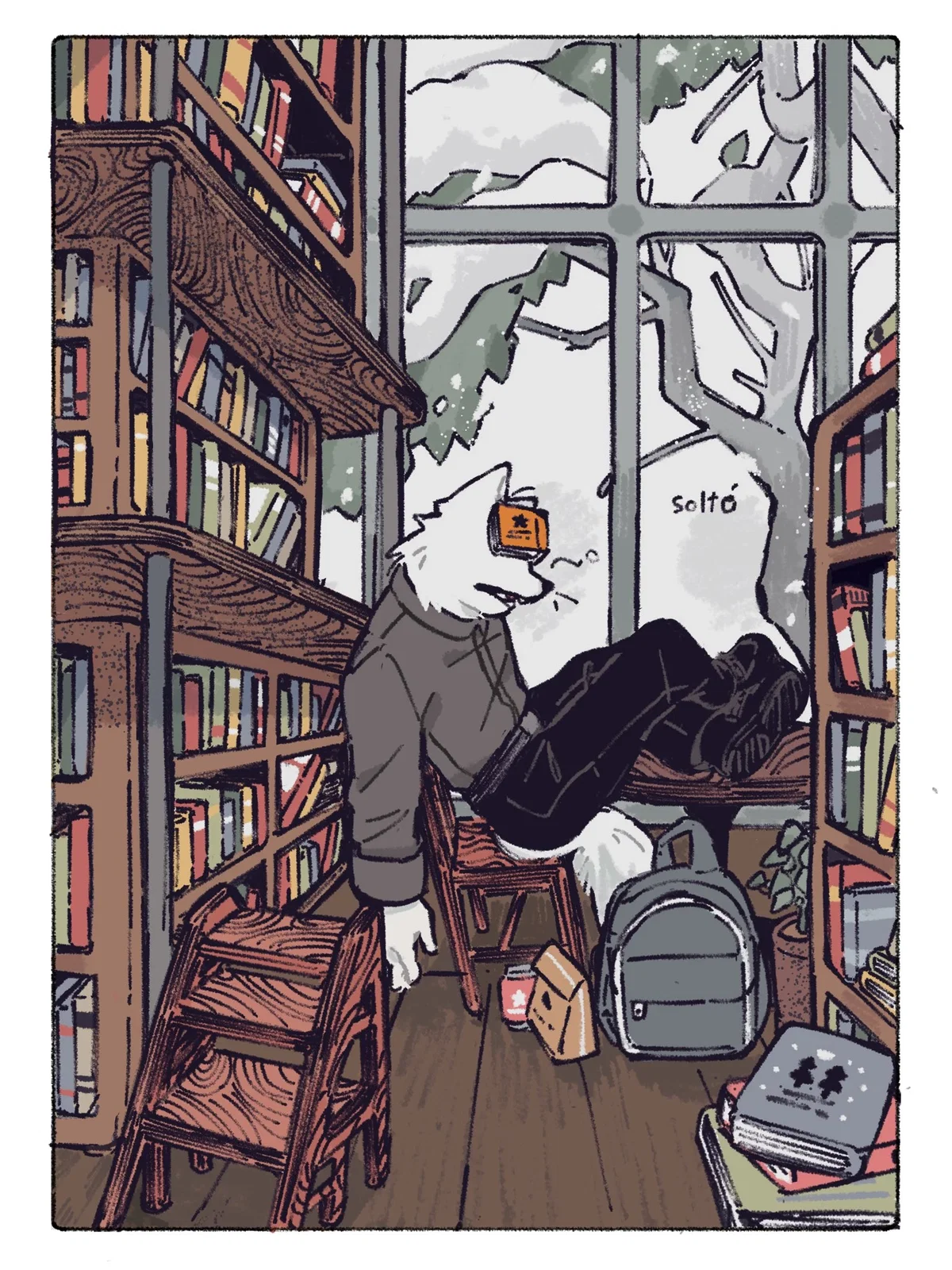 Library Solace