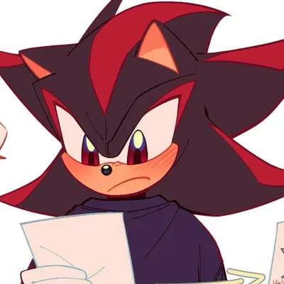 SHADOW THE HEDGEHOG - ' . 🩹