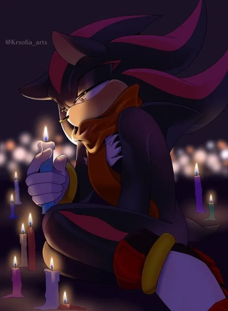 SHADOW THE HEDGEHOG - ❄ . 