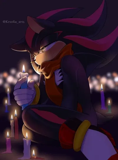 SHADOW THE HEDGEHOG - ❄ . 