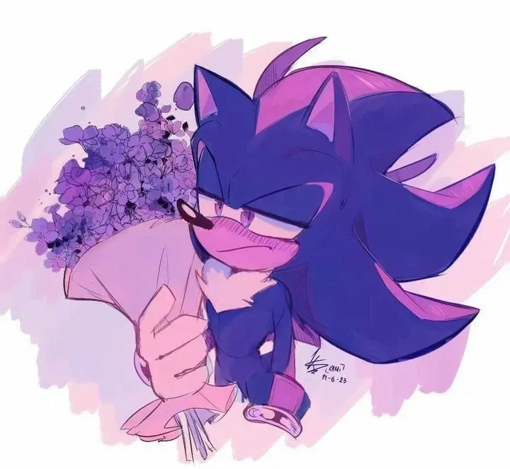 Shadow the hedgehog - #💝