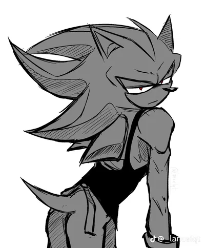SHADOW THE HEDGEHOG - ☕ ❤️‍🔥 . ~