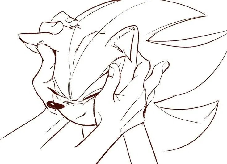 SHADOW THE HEDGEHOG - #💞