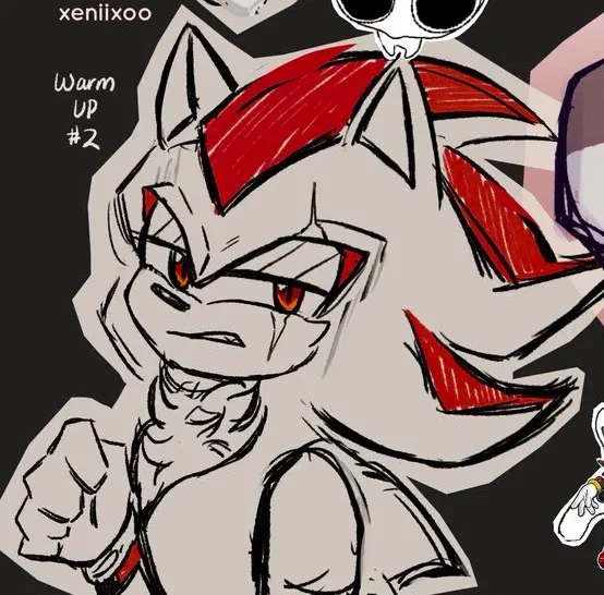SHADOW THE HEDGEHOG! -