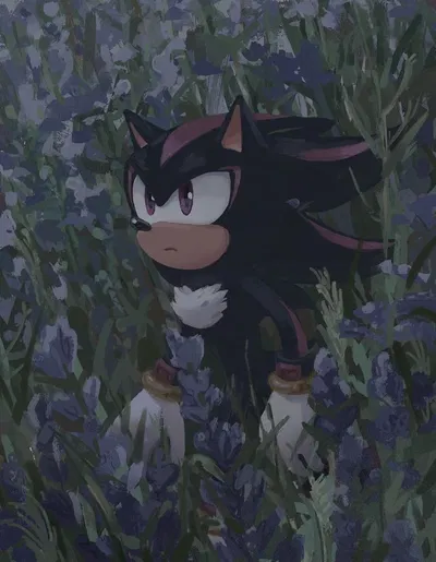 Shadow the hedgehog - #🍂