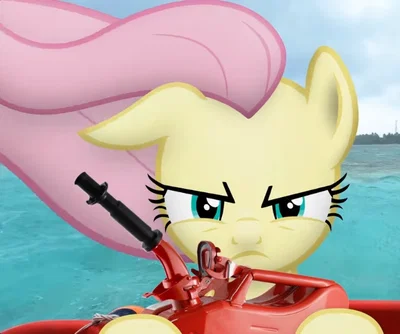 MLP IRL