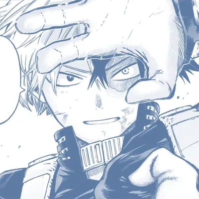 ✮ SHOTO TODOROKI ✮