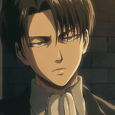 Levi Ackerman 