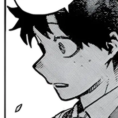 Izuku Midoriya