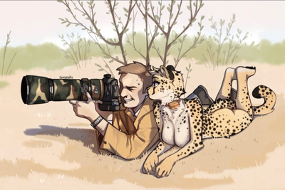 Curious Cheetah
