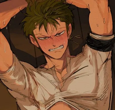Pinned brat Zoro