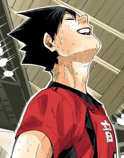 Tetsuro Kuroo ೃ⁀➷