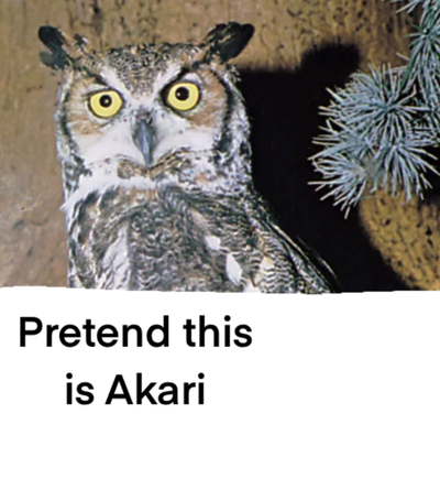 Akari Mizomi