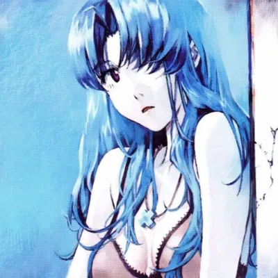 Misato Katsuragi (Neon Genesis Evangelion)
