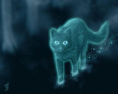 Warrior Cats RPG