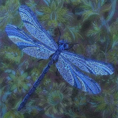Ethan - DRAGONFLY THERIAN
