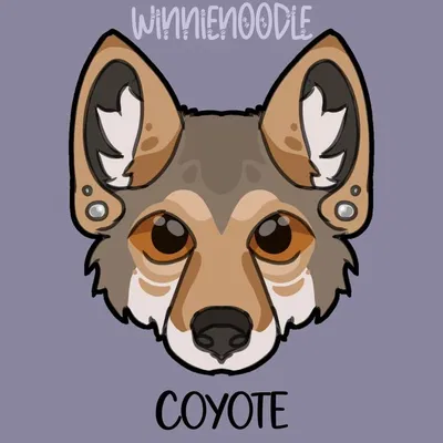 Levi - COYOTE THERIAN