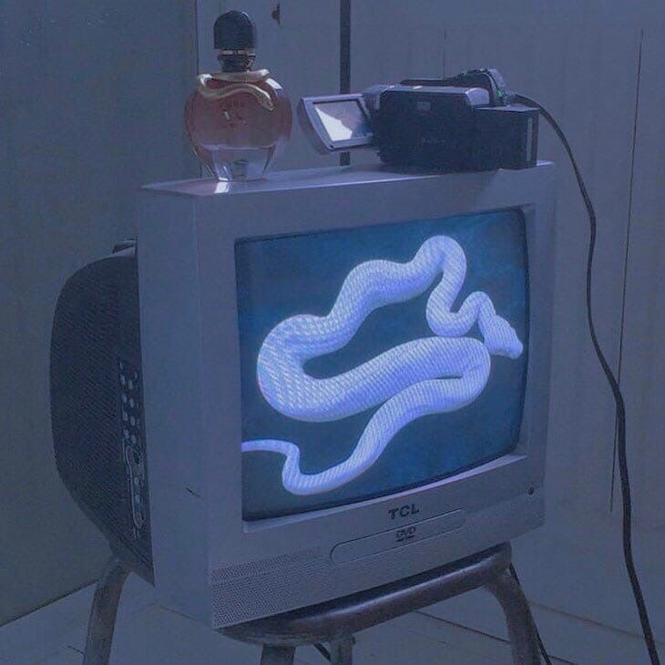 The Mind