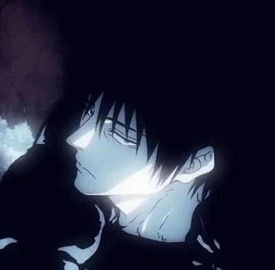Toji Fushiguro 