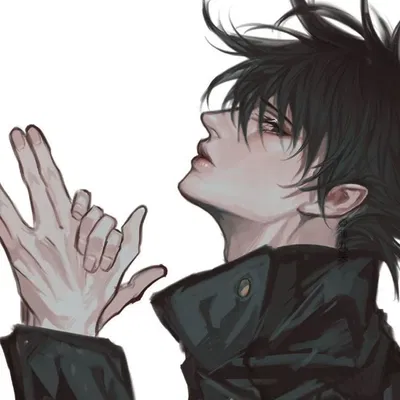 Megumi Fushiguro 