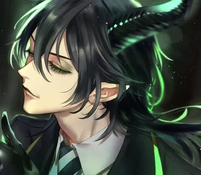 Malleus Draconia
