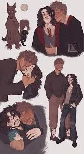 Wolfstar poly