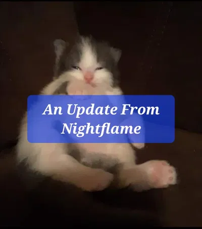 Discord Update