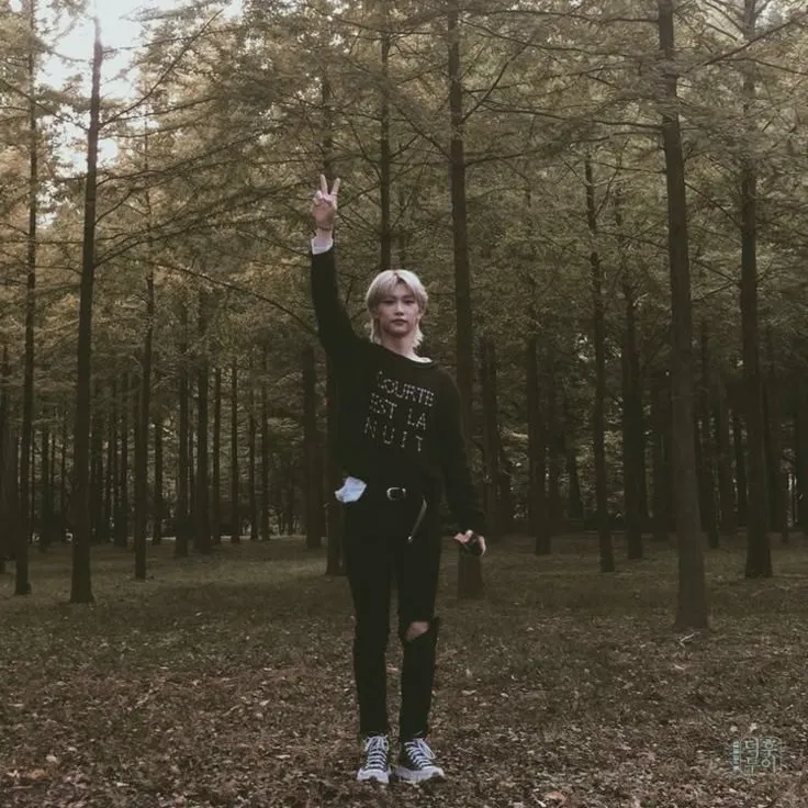 Felix — Spring forest