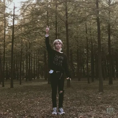 Felix — Spring forest
