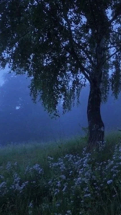 ĤØмє sWᗴet homE.