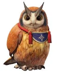 Your Cohoot