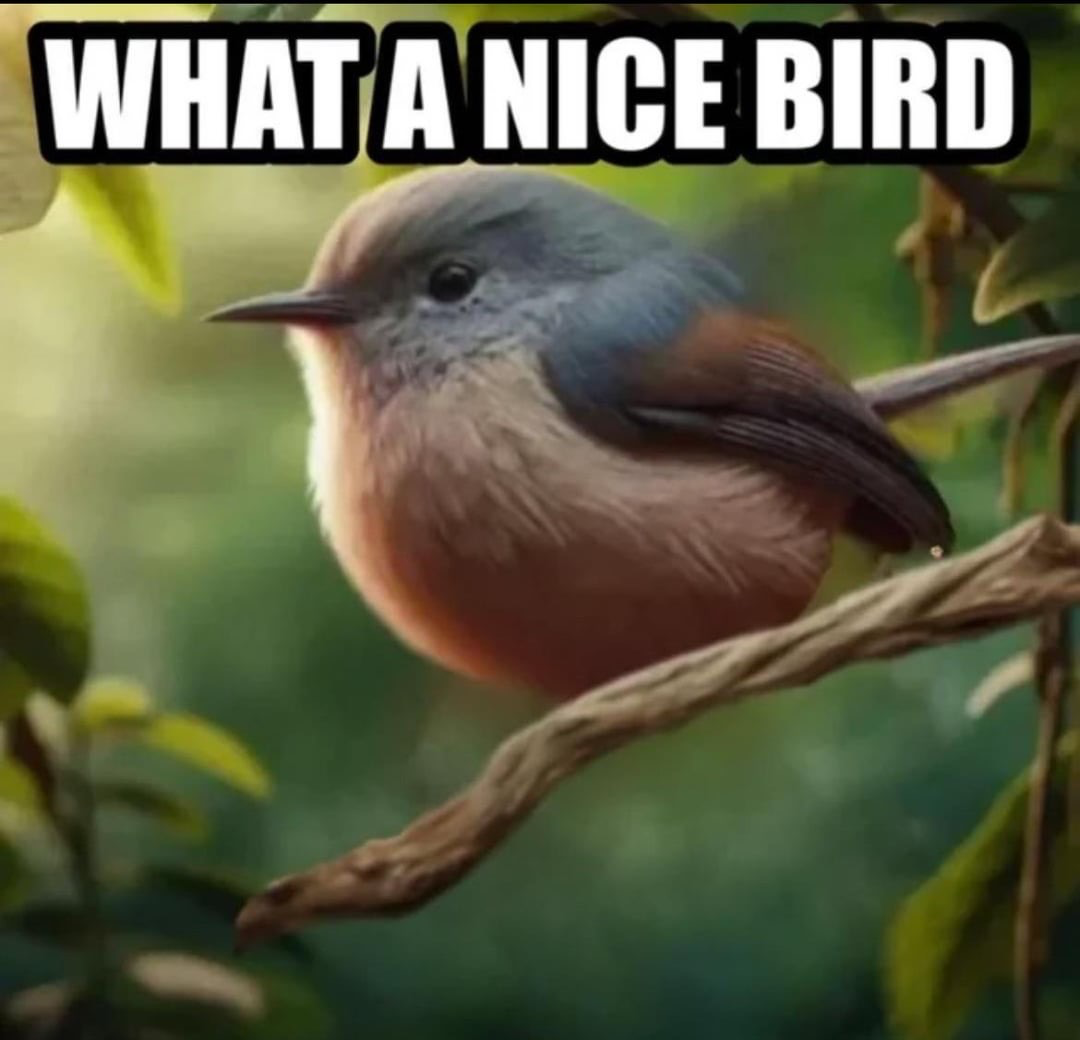 100 Followers + Bot Suggestions