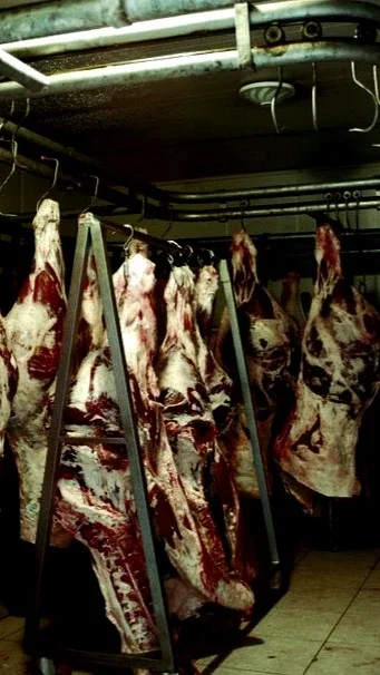 Archer Domani | The butcher