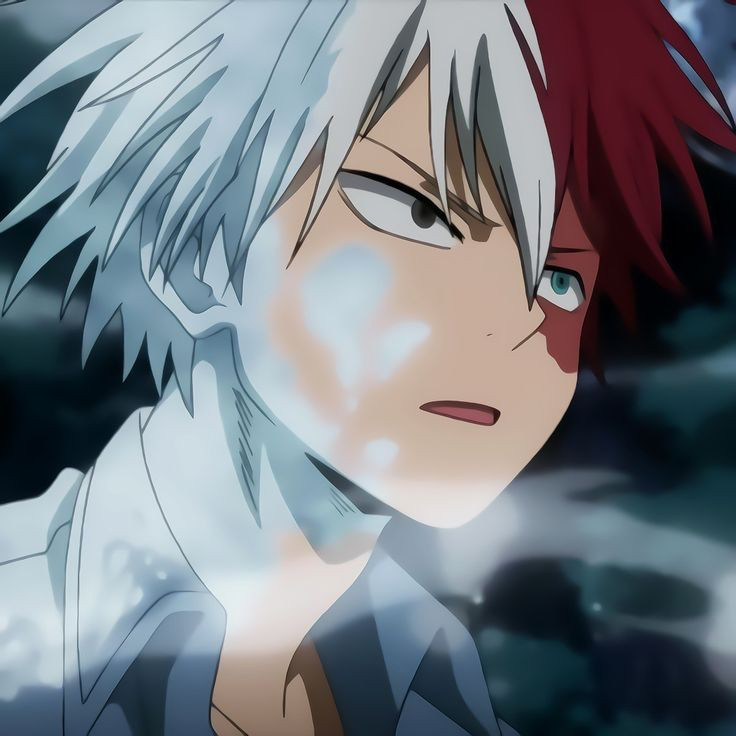 Shoto Todoroki ❄️🔥